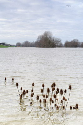 BUITEN BEELD Foto: 114383