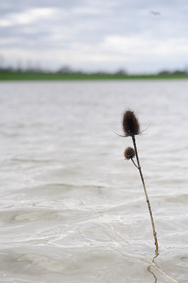 BUITEN BEELD Foto: 114384