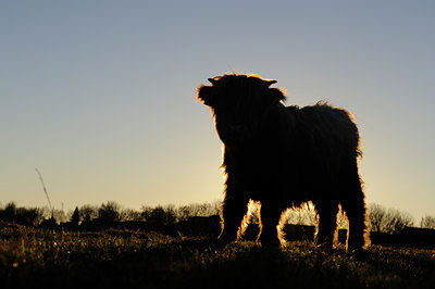 BUITEN BEELD Foto: 114385