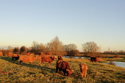 BUITEN BEELD Foto: 114396