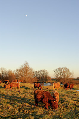 BUITEN BEELD Foto: 114399