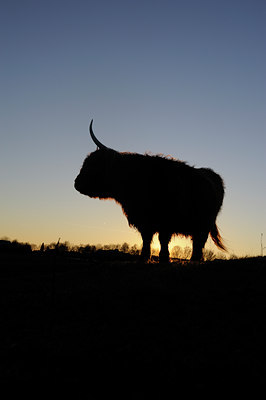 BUITEN BEELD Foto: 114402