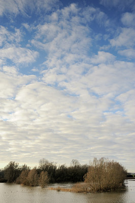 BUITEN BEELD Foto: 114403