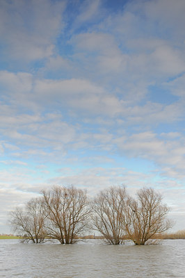 BUITEN BEELD Foto: 114406