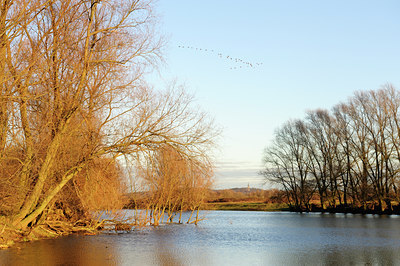 BUITEN BEELD Foto: 114409