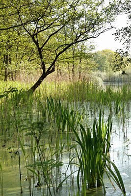 BUITEN BEELD Foto: 114437