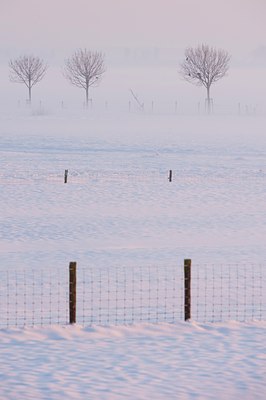 BUITEN BEELD Foto: 114473