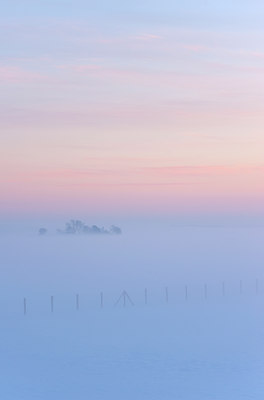 BUITEN BEELD Foto: 114475