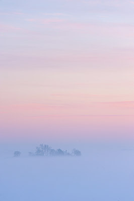 BUITEN BEELD Foto: 114476
