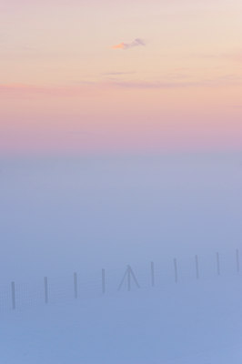 BUITEN BEELD Foto: 114482