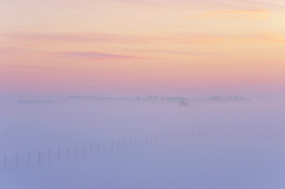 BUITEN BEELD Foto: 114484