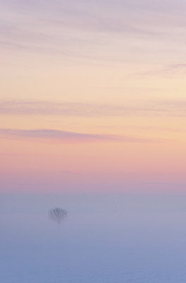 BUITEN BEELD Foto: 114488