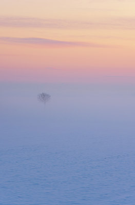 BUITEN BEELD Foto: 114489