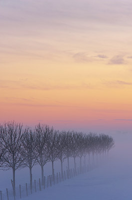 BUITEN BEELD Foto: 114492