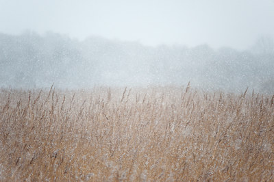 BUITEN BEELD Foto: 114500