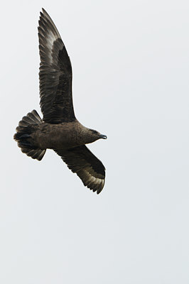 BUITEN BEELD Foto: 114552