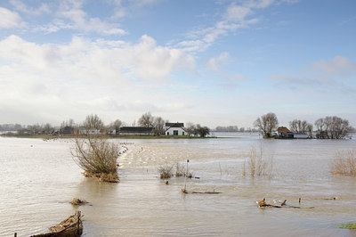 BUITEN BEELD Foto: 114620