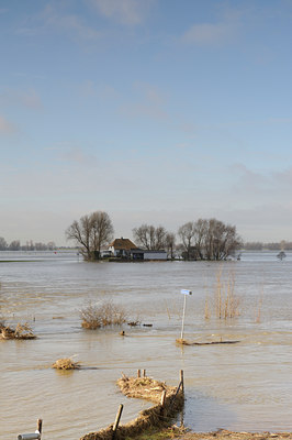 BUITEN BEELD Foto: 114621