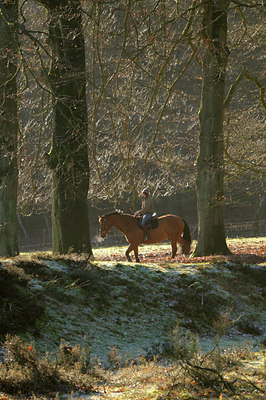 BUITEN BEELD Foto: 114660