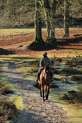 BUITEN BEELD Foto: 114665
