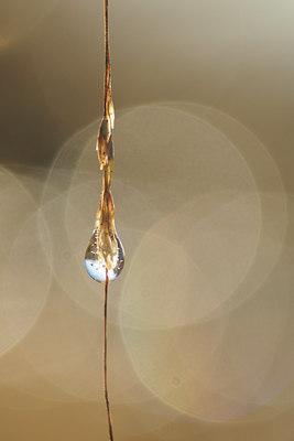 BUITEN BEELD Foto: 114667