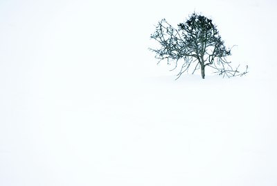 BUITEN BEELD Foto: 114683