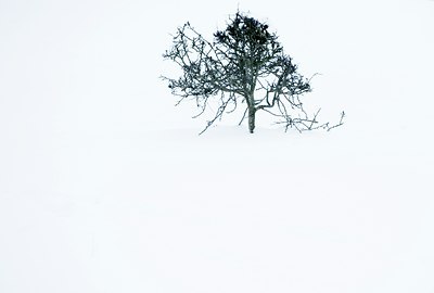 BUITEN BEELD Foto: 114684