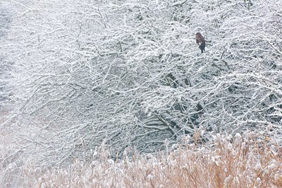BUITEN BEELD Foto: 114713