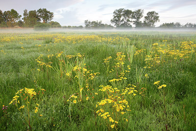 BUITEN BEELD Foto: 114783