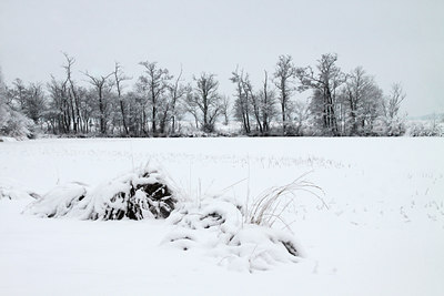 BUITEN BEELD Foto: 114816