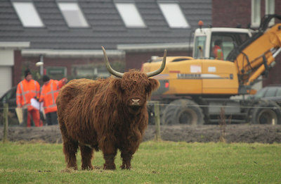 BUITEN BEELD Foto: 114838
