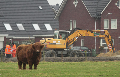 BUITEN BEELD Foto: 114839