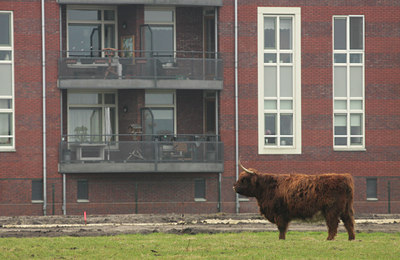 BUITEN BEELD Foto: 114840