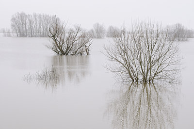BUITEN BEELD Foto: 114853