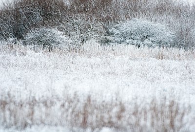 BUITEN BEELD Foto: 114865