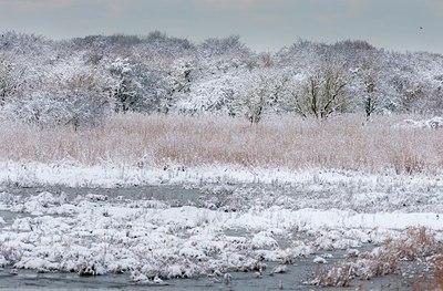 BUITEN BEELD Foto: 114867