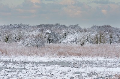 BUITEN BEELD Foto: 114868