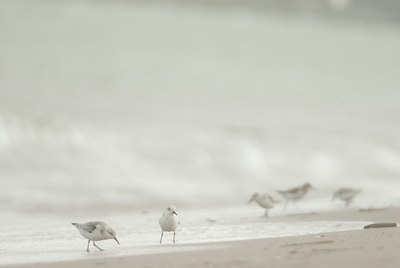 BUITEN BEELD Foto: 114936