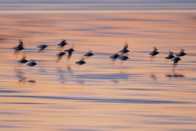 BUITEN BEELD Foto: 114937