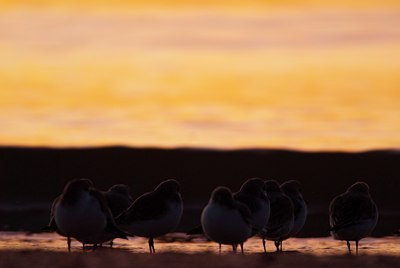 BUITEN BEELD Foto: 114947