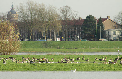 BUITEN BEELD Foto: 114965