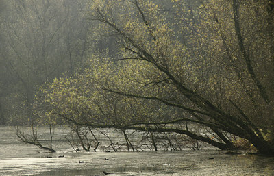 BUITEN BEELD Foto: 114972