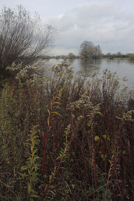 BUITEN BEELD Foto: 114973