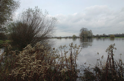 BUITEN BEELD Foto: 114975