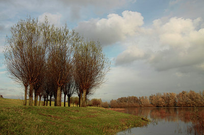 BUITEN BEELD Foto: 114985