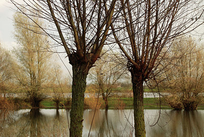 BUITEN BEELD Foto: 114988