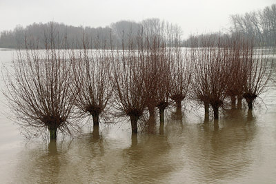 BUITEN BEELD Foto: 114993