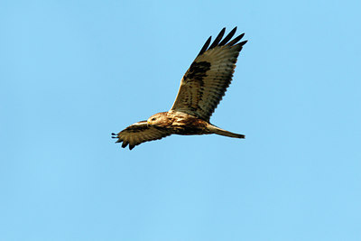 BUITEN BEELD Foto: 114996