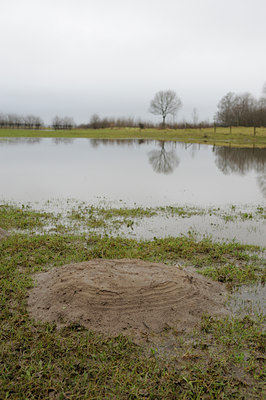 BUITEN BEELD Foto: 114999