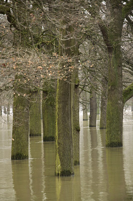 BUITEN BEELD Foto: 115015